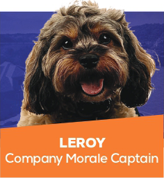 leroy